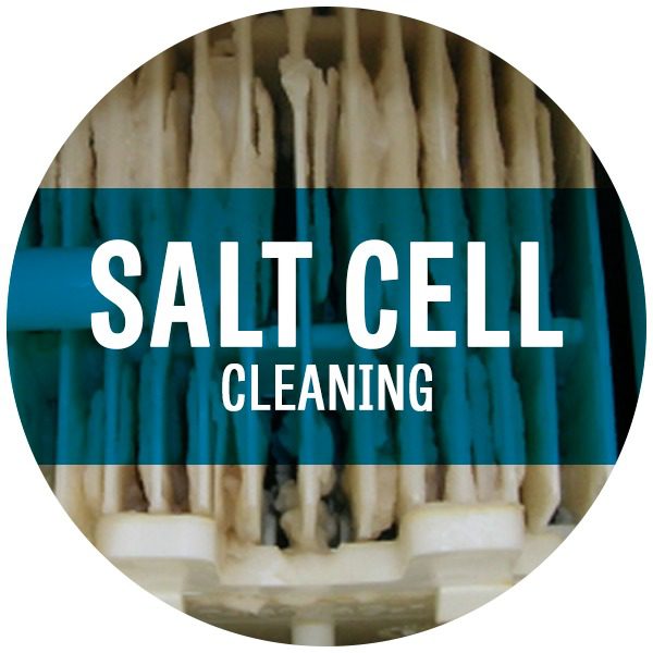 Salt Cell Cleaning circle button when searching for good swimming pool installation companies Schererville.