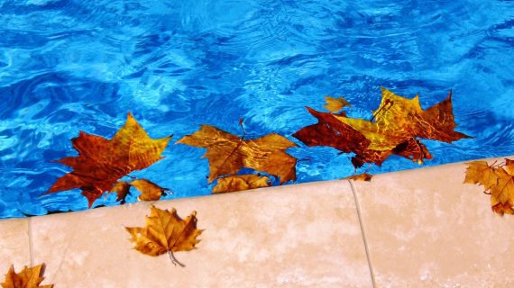 Fall is the Best Time for a Pool Renovation