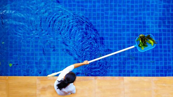Can Landscaping Affect My Pool Water Chemistry?